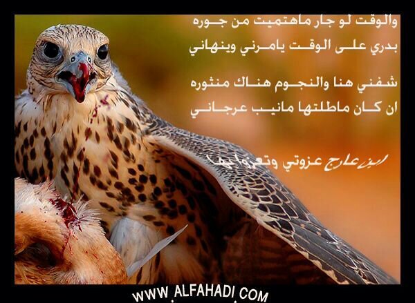 نسعد بنشر اخبار القبيلة افراح_نواميس - عزاء لاقدرالله.وكل مايخص القبيلة من معلومات.