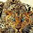 Jouzef497's profile image