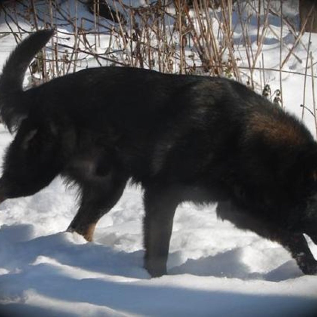 uhm_uhmmm's profile picture. 