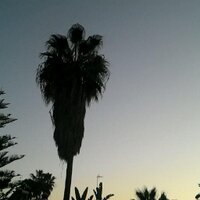 David  J Owen (@owendj) 's Twitter Profile