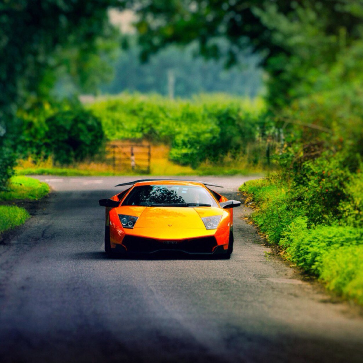 lewisbridgewat1's profile picture. 