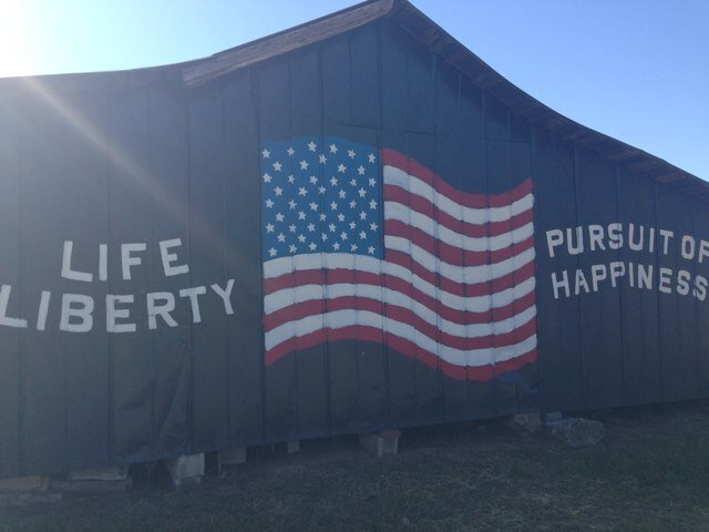 katiebirdtweets's profile picture. 