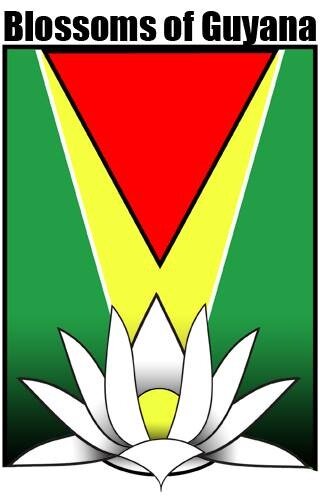 BlossomofGuyana's profile picture. Dedicated to serving the children of Guyana