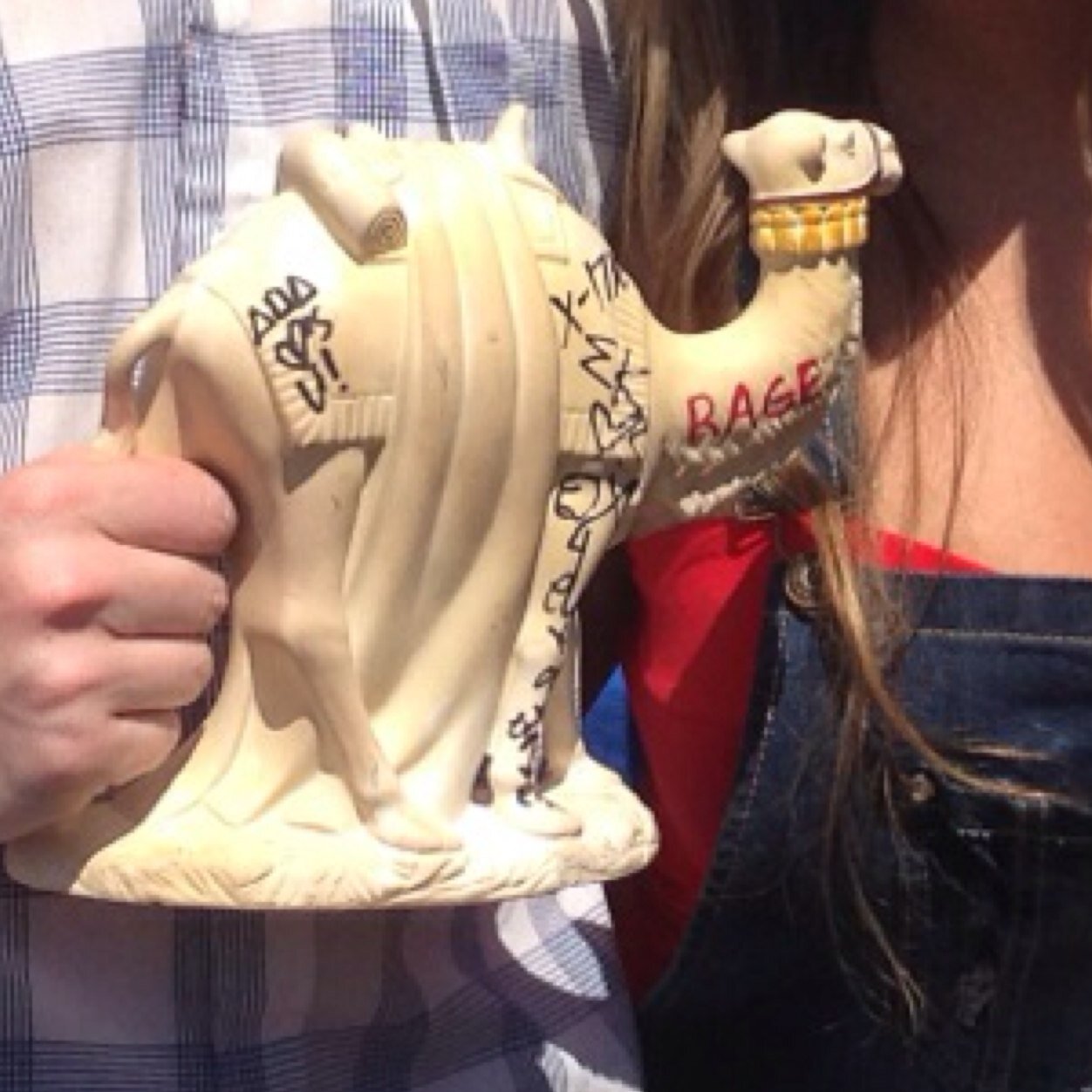 Just a camel. Looking for the party.