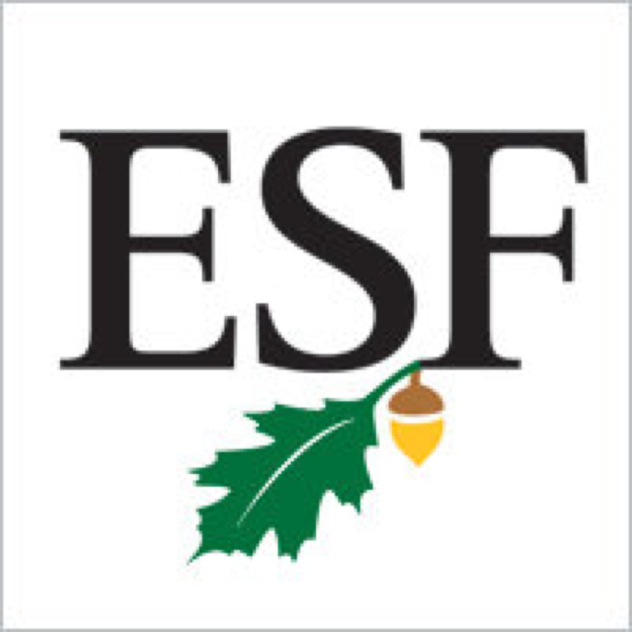 SUNY ESF's # 1 confession site. Real confessions. Always anonymous. Not affiliated with SUNY ESF. ESFconfessions@yahoo.com