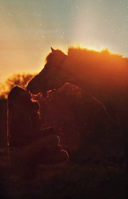NH_Cathleen's profile picture. Horse trainer and owner of my beautiful mare Mees, Natural Horsemanship the way I treat and train Horses. [Just be true to who YOU are]