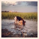 Alexander Blanton - @AXLE7400 - Twitter