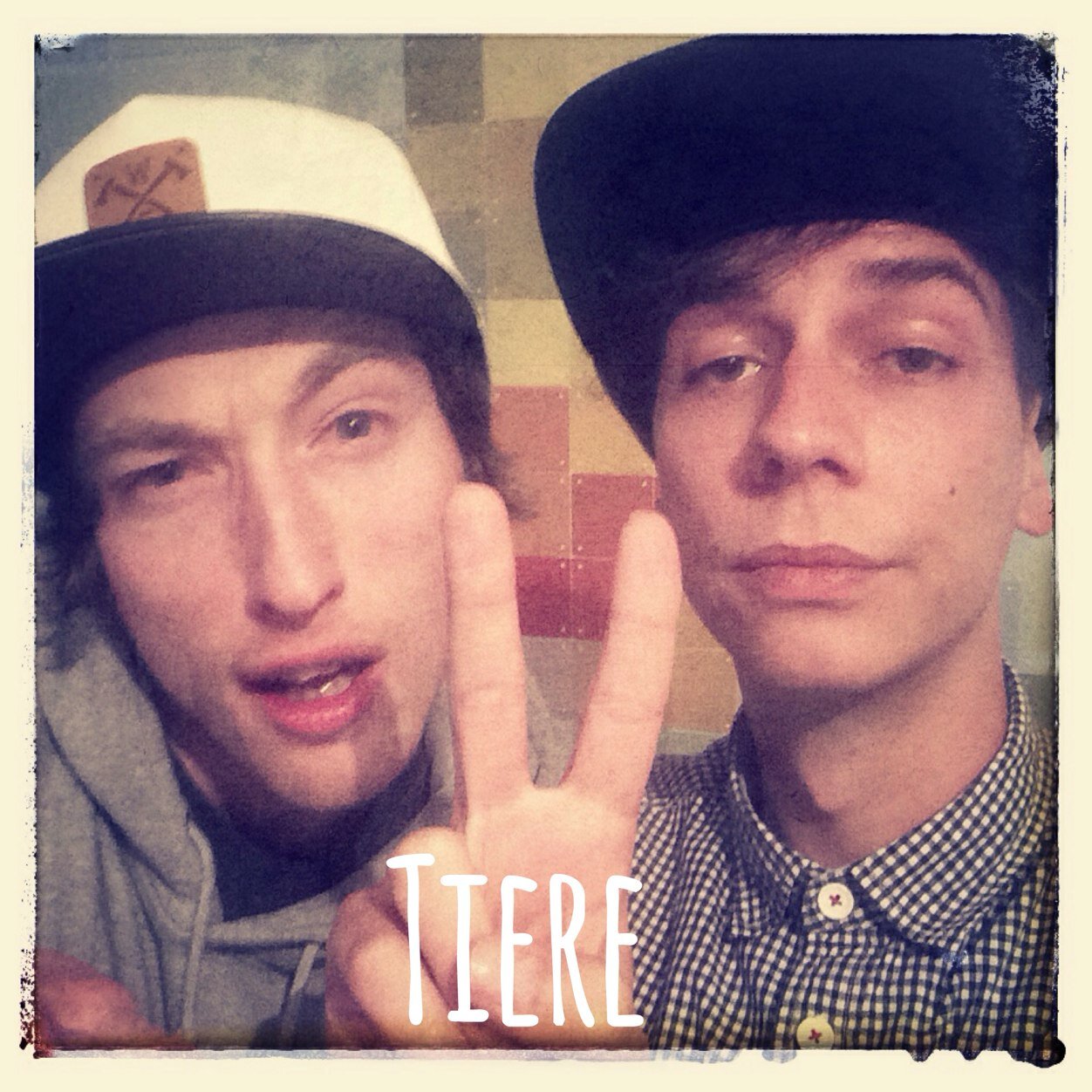 2tiere's profile picture. 2Tiere auf Twitter