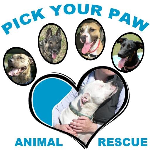 Pick Your Paw Animal Rescue Visit our website http://t.co/vwGFSkdcsg. We are made up of individuals who want to help save animals pickyourpaw@gmail.com