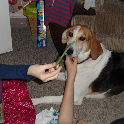 abbey_smith99's profile picture. 