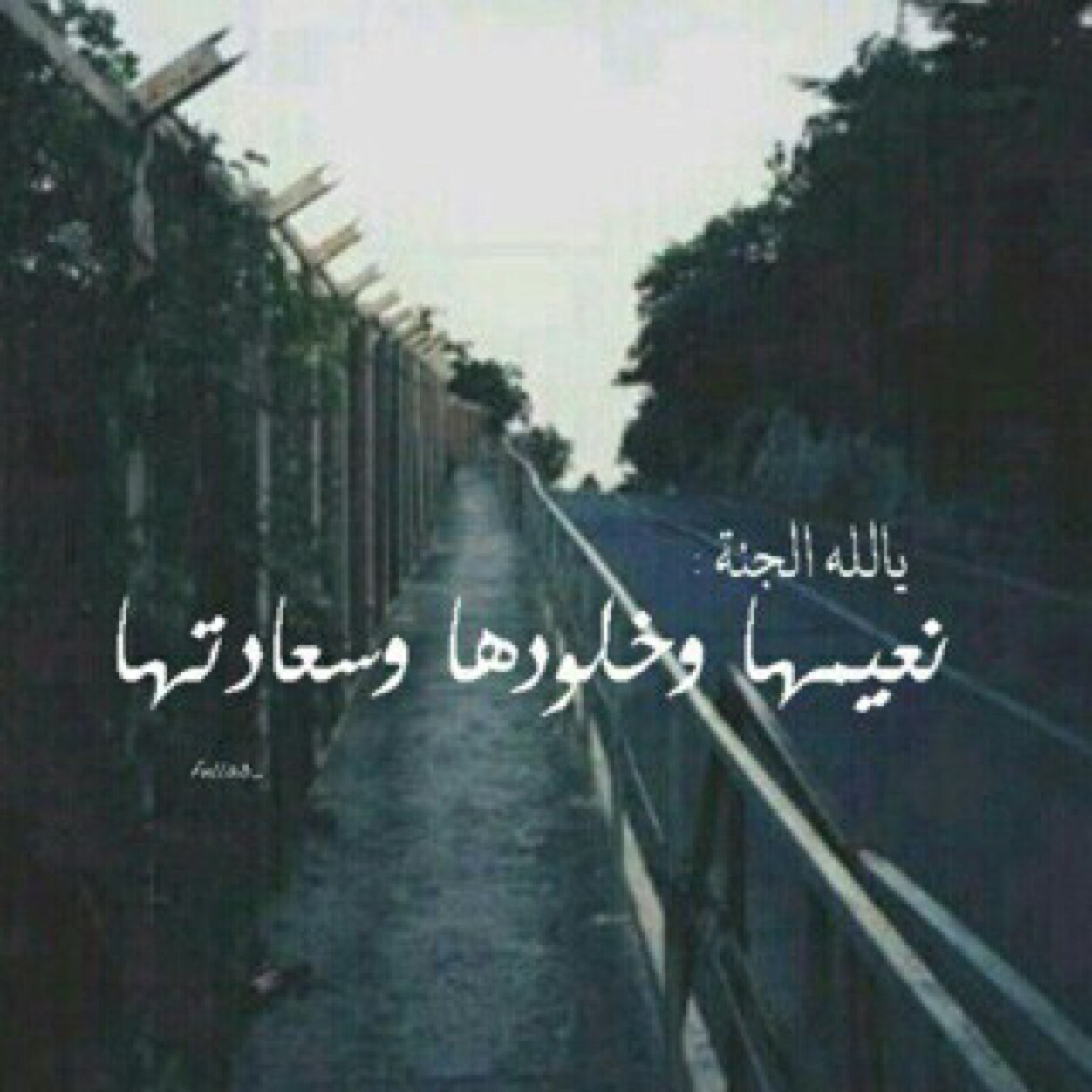 الجنة بفردوسها يَ آلله