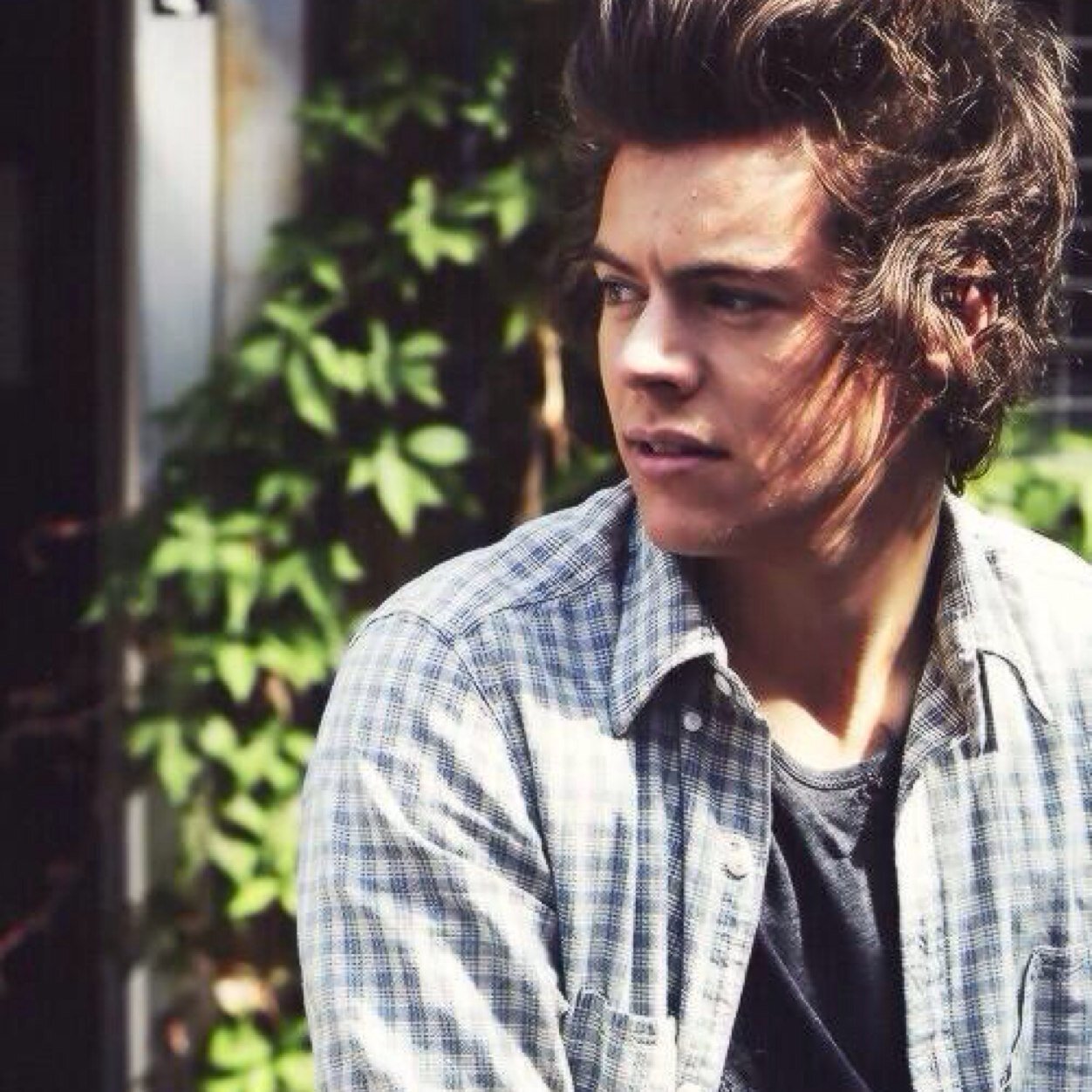 harryponds's profile picture. @policeboxed