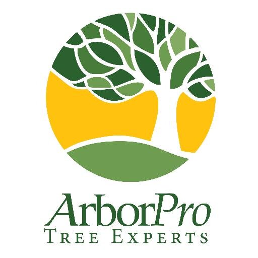 arborpronw's profile picture. Tree Service Experts with over 20 years experience in professional tree care, expert pruning, and difficult tree removal.