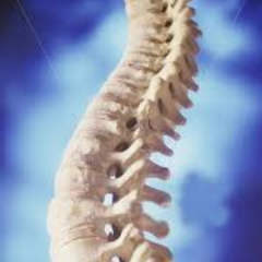 Spinal Health = Overall Health. Keep your spine and your body healthy. Get adjusted.