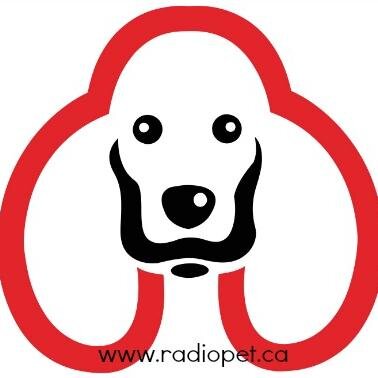 Radiopet - Hidden Dog Fencing ensures safe containment and freedom for your pets while outdoors. #dogs #dogsafety #petcontainment #dogfencing #radiopet