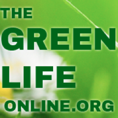 Visit The Green Life Profile
