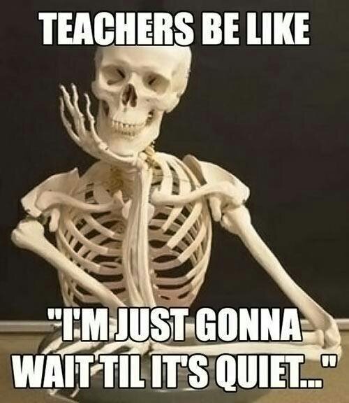 Mornings, Bullies, Cheaters, Dances. Oh the school expierience. I also run @suzied598 and @sissyqsarah