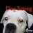 DogSitterMN's profile image