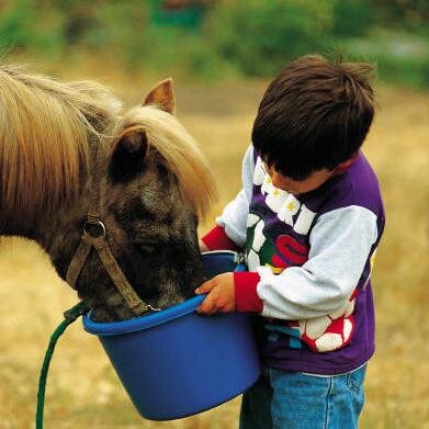 Working to keep land open for horses and horse-related activities.