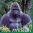aaac100's profile image