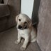 Susan Deakin (@susie75d) Twitter profile photo