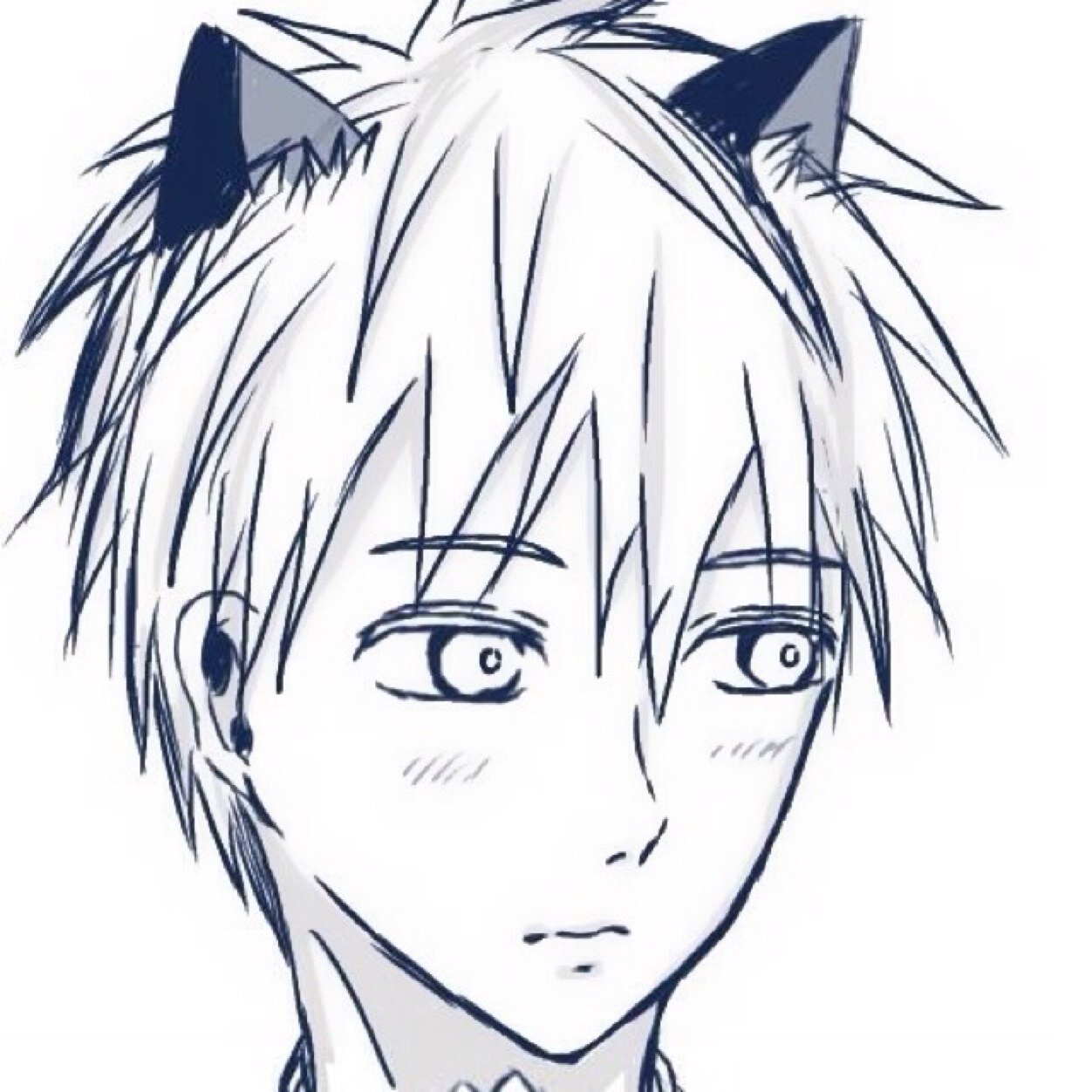 ふぁるさんのプロフィール画像