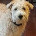 Darrell Mason - @dmason1918 - Twitter