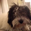 Gina Jay - @theRealGinaJ - Twitter