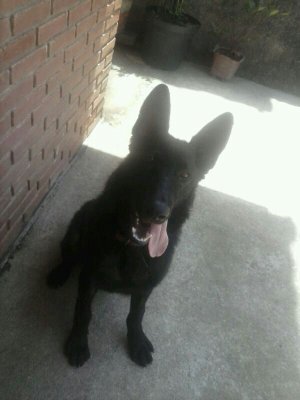 CardozoSjr's profile picture. 