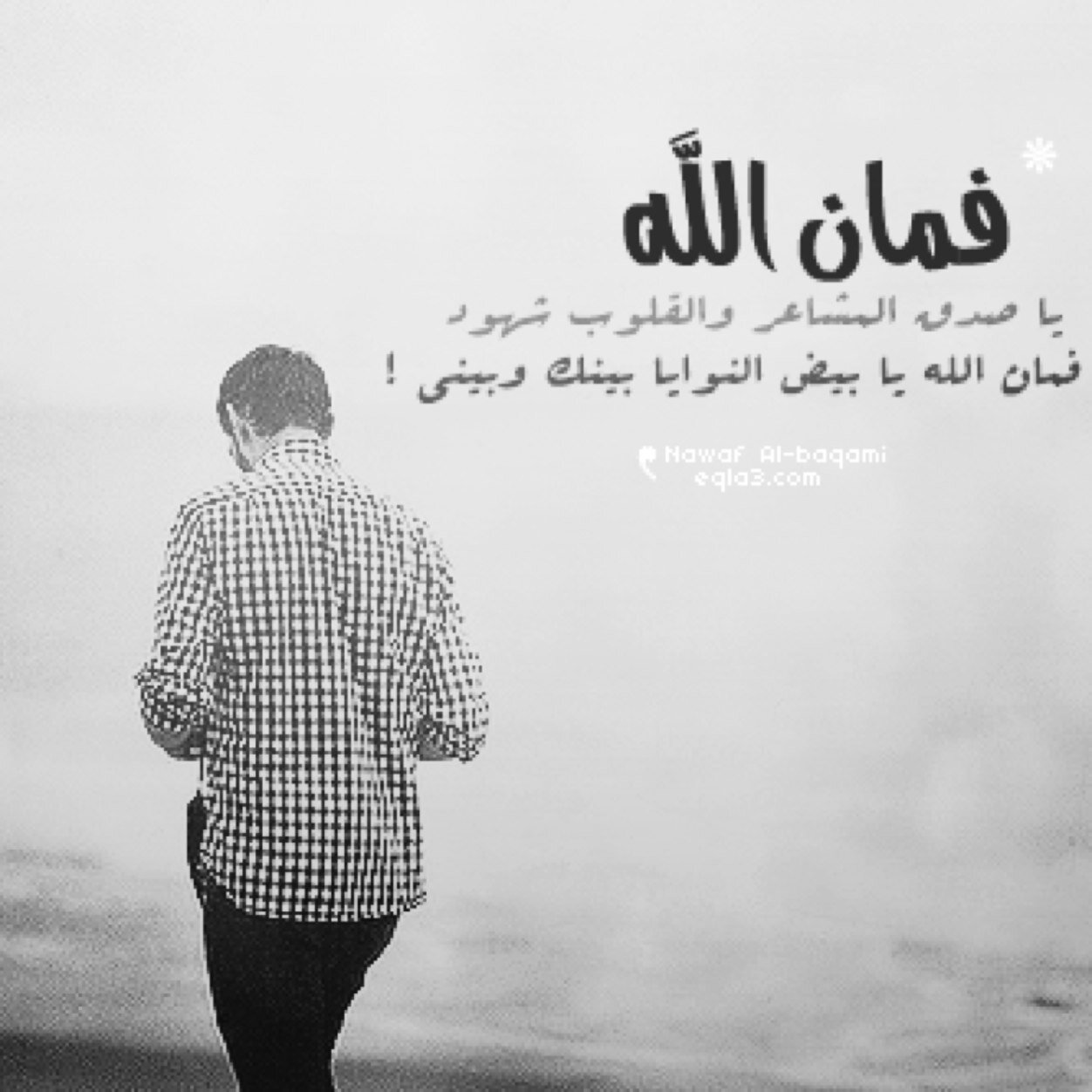 أستودعكم الله الذي لا تضيع ودائعه