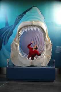 Knit_a_PhD's profile picture. PhD student at Oregon State University. Free choice learning enthusiast, museum junkie, master knitter and amateur photography in one neat package.