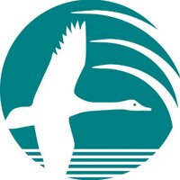 YoloBasinFoundation (@yolobasin) 's Twitter Profile