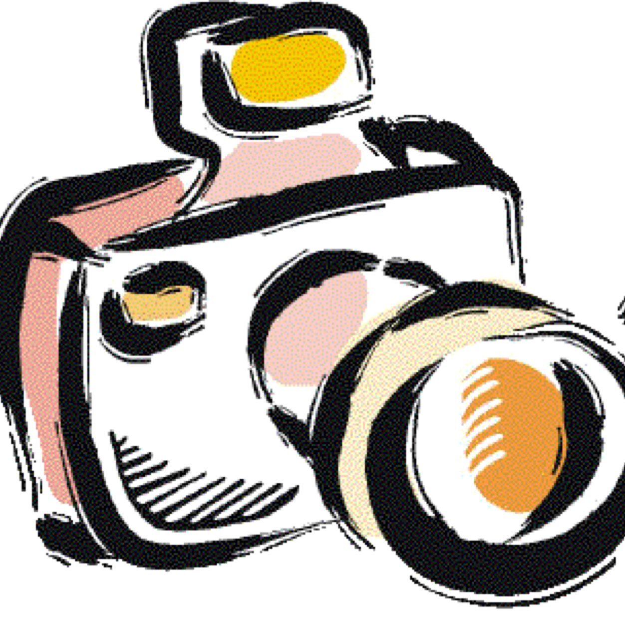 PilAuBonMoment's profile picture. Toutes les photos prisent au bon moments ici !