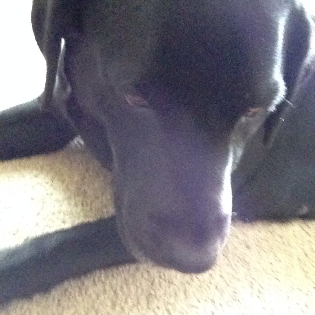 KOostema's profile picture. 