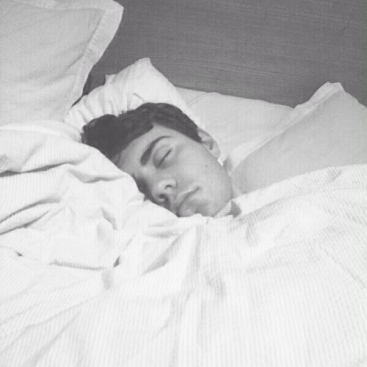 alfiedeyesbabe's profile picture. youtubers