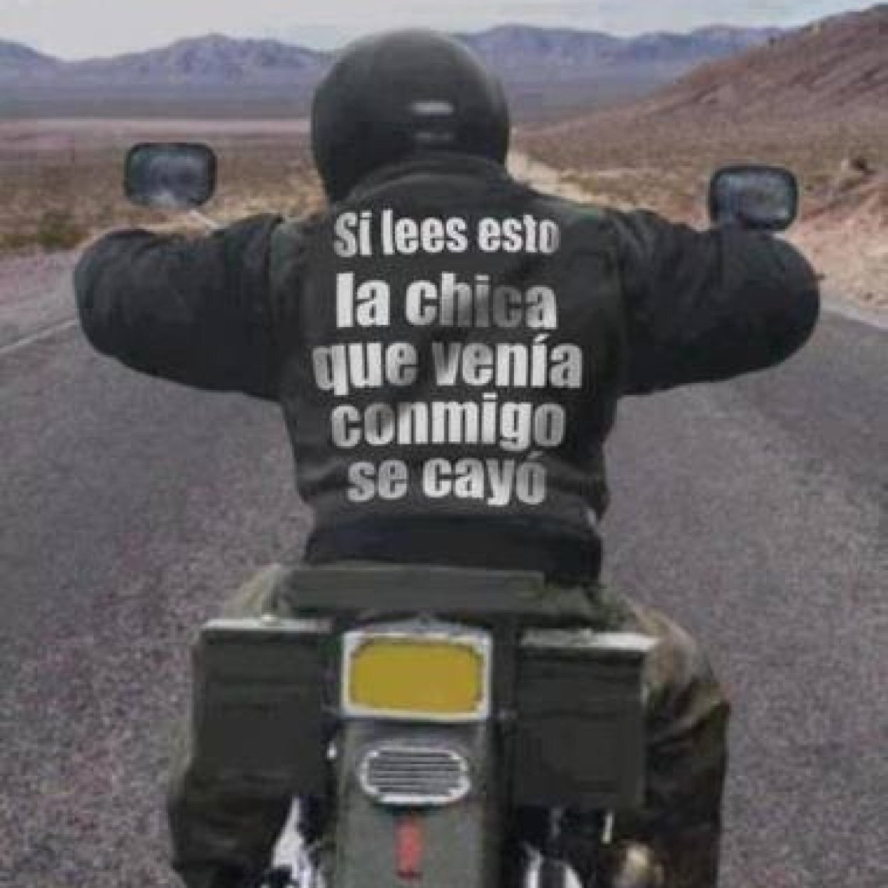 alverches's profile picture. 