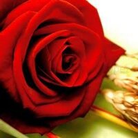 Send Jordi (@sendjordi) 's Twitter Profile