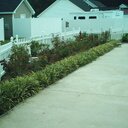 Donald Langston - @DonaldLangston1 - Twitter