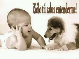 conoceme y veras