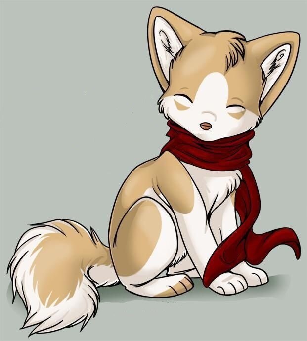 Woof Woof! {Hi! I'm Halley and um, yeah...I like food and digging and...snuggles?}