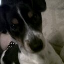 Lynette Redmond - @lyneered - Twitter