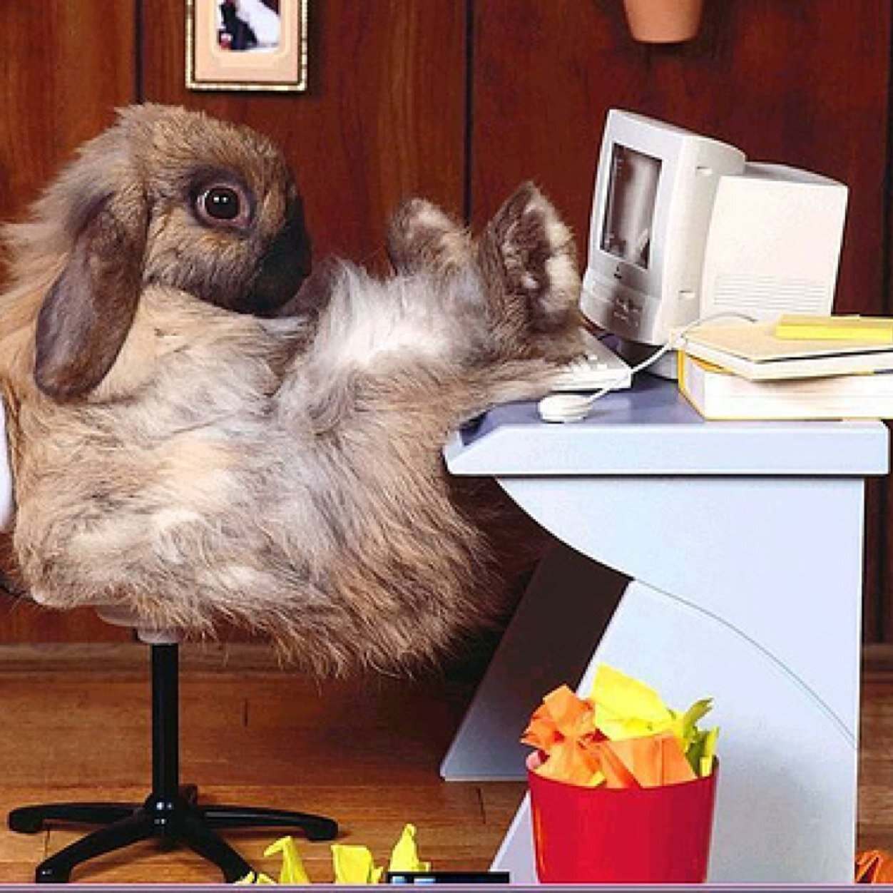 Seeking the e-holygrail. Searching for digital idealism. An SEO expert walks into a bar, bars, pub, tavern, public house, Irish pub, drinks, beer, alcohol...