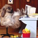 Dave Harker - @contentsville - Twitter