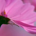 Robin Burnham - @rc_burnham - Twitter