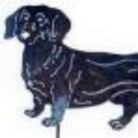 Simon Maher (@simonmaher1) 's Twitter Profile