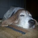 Nick Herling - @KirbyHrbek - Twitter