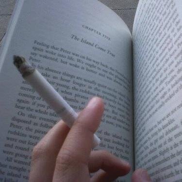 vibrantdreaming's profile picture. i have long stopped asking why the mad do mad things.