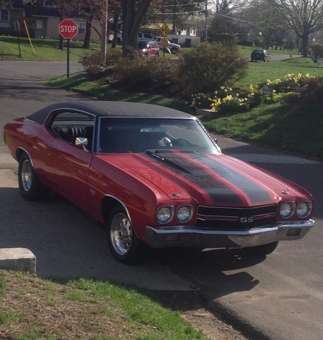 Lifelong democrat, Leader of the Resistance
#MuscleCars