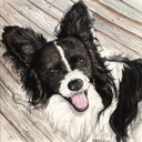 Diane Cash Art - @dianecashart - Twitter