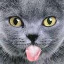 Connie Wolf - @wolfgirlkitty - Twitter